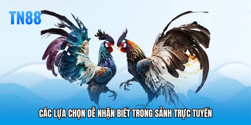 Các lựa chọn dễ nhận biết trong sảnh trực tuyến